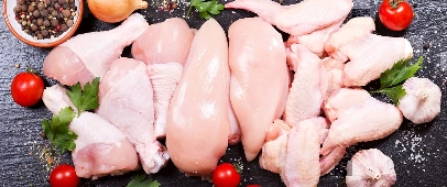 Chicken image